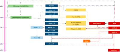 Standardization of Human Metabolic Stoichiometric Models: Challenges and Directions